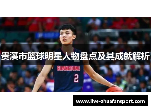 贵溪市篮球明星人物盘点及其成就解析