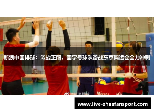 新浪中国排球：激战正酣，国字号球队备战东京奥运会全力冲刺