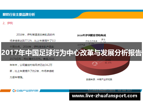 2017年中国足球行为中心改革与发展分析报告
