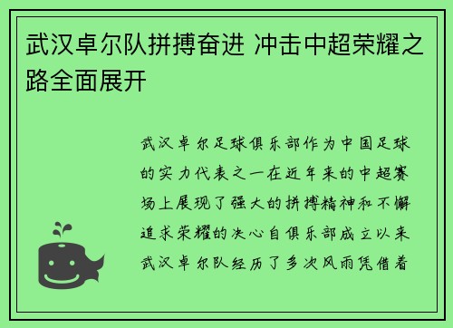 武汉卓尔队拼搏奋进 冲击中超荣耀之路全面展开