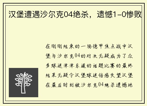 汉堡遭遇沙尔克04绝杀，遗憾1-0惨败