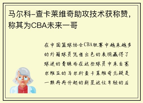 马尔科-查卡莱维奇助攻技术获称赞，称其为CBA未来一哥